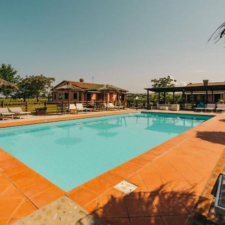 Agriturismo Il Laghetto Grosseto Ngoại thất bức ảnh