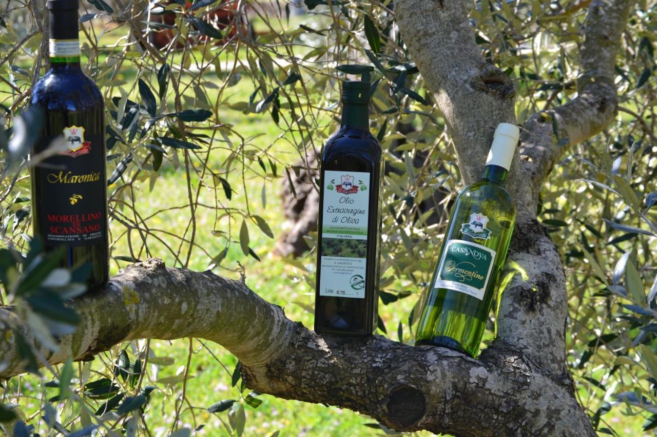 Agriturismo Il Laghetto Grosseto Ngoại thất bức ảnh