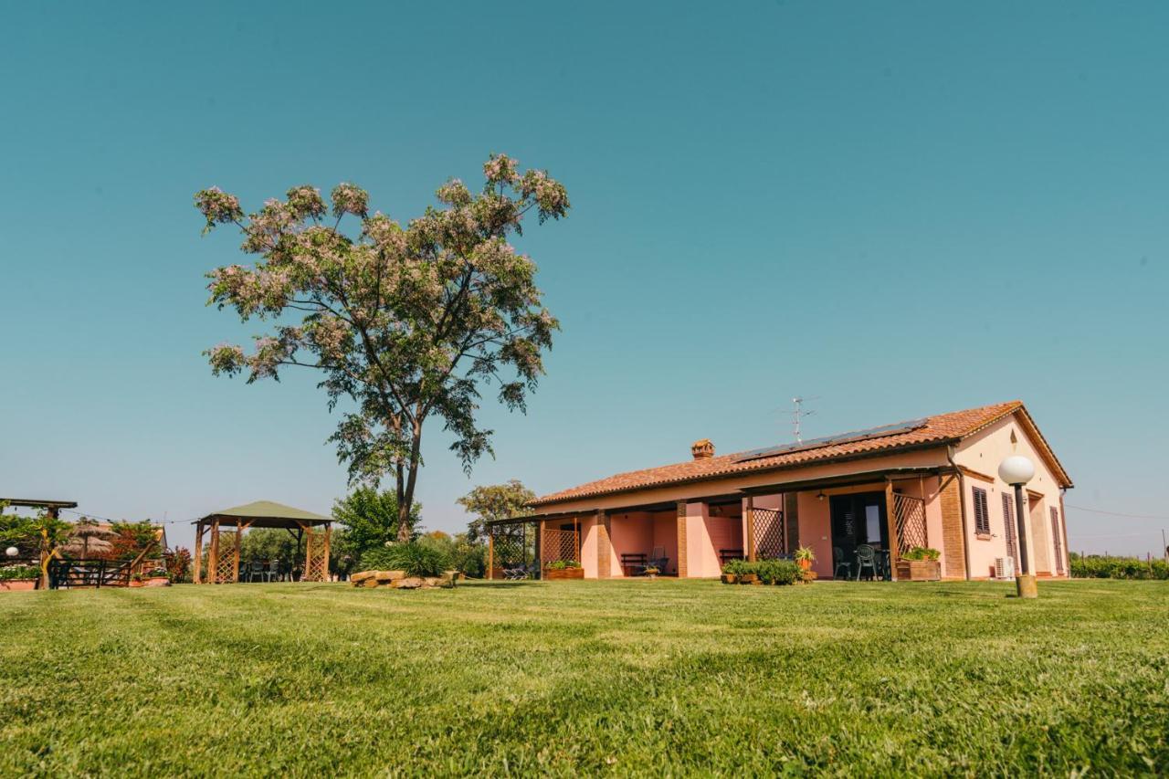 Agriturismo Il Laghetto Grosseto Ngoại thất bức ảnh