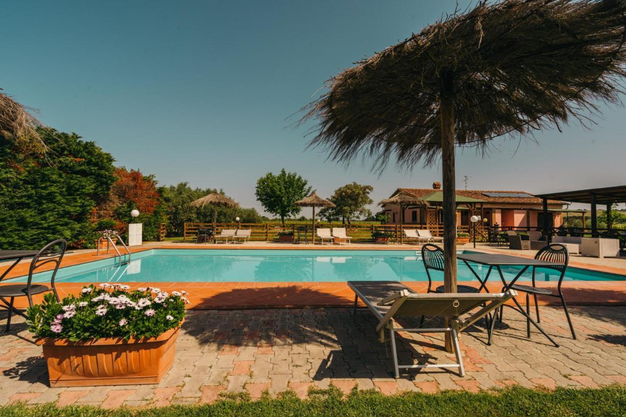 Agriturismo Il Laghetto Grosseto Ngoại thất bức ảnh