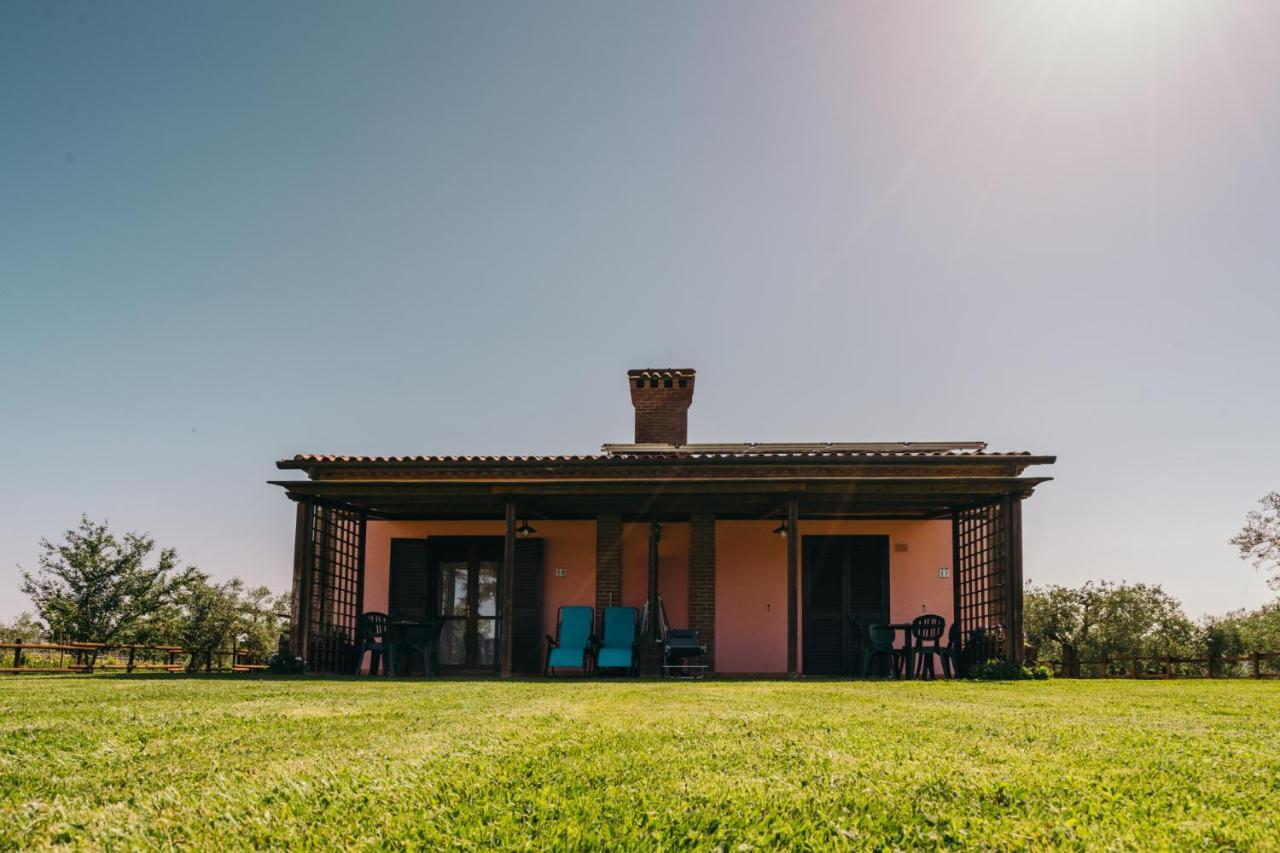 Agriturismo Il Laghetto Grosseto Ngoại thất bức ảnh