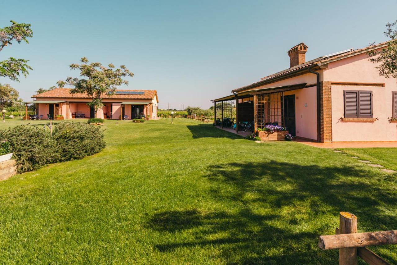 Agriturismo Il Laghetto Grosseto Ngoại thất bức ảnh