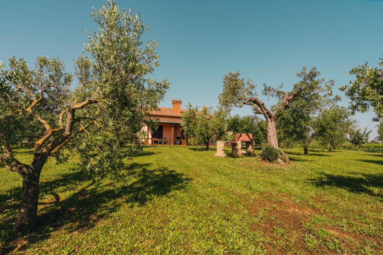 Agriturismo Il Laghetto Grosseto Ngoại thất bức ảnh