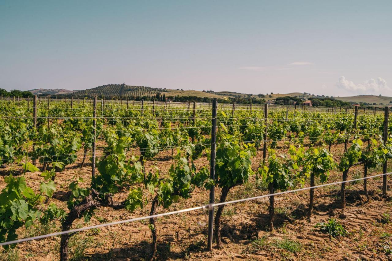 Agriturismo Il Laghetto Grosseto Ngoại thất bức ảnh