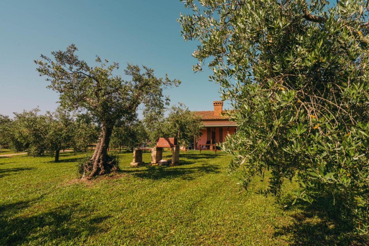 Agriturismo Il Laghetto Grosseto Ngoại thất bức ảnh